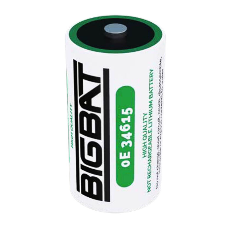 Big Bat Batteria Litio 3,6V ER34615 Tipo D big bat batteria ER34615